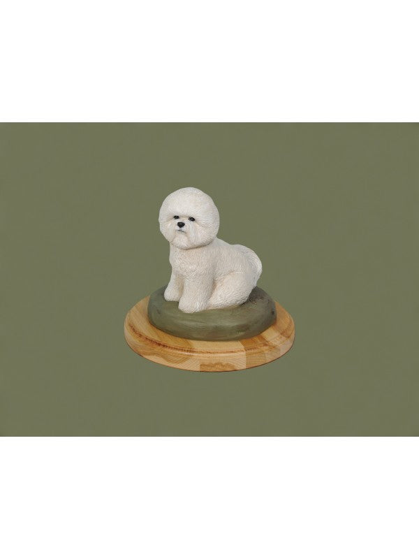 Bichon Frisé-miniatyr