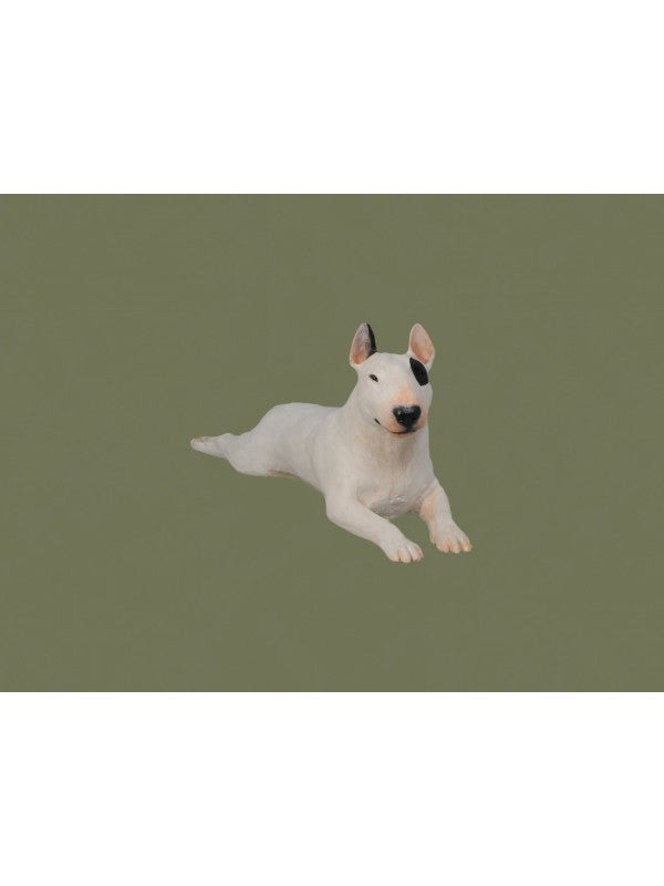 Bullterrier-miniatyr