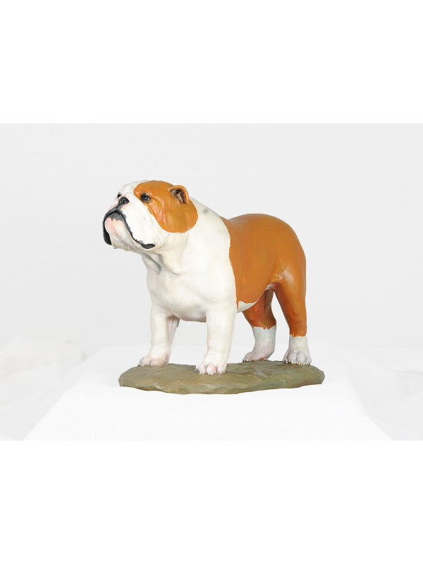 Engelsk bulldogg-miniatyr