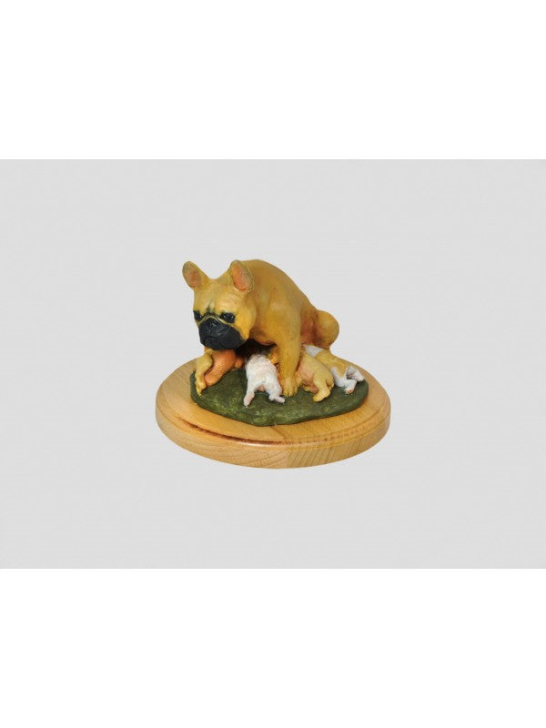 Fransk bulldogg-miniatyr