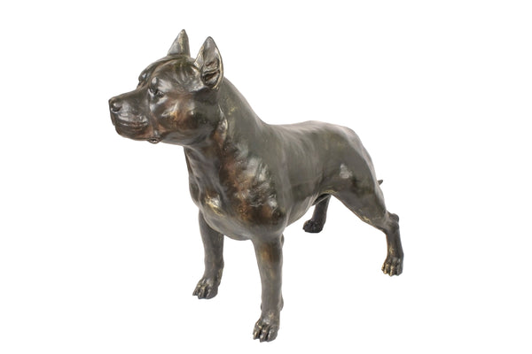 Hundstaty Rottweiler